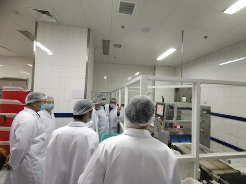 金豐餐飲 全自動化裝備賦能盒飯配餐工廠，打造高效保障服務體系